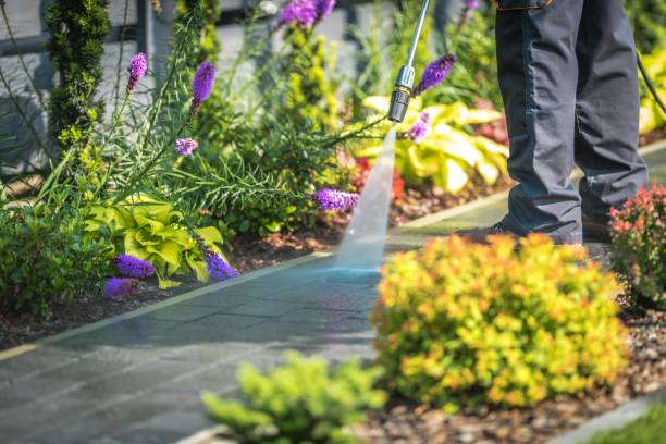 Best Post-Construction Pressure Washing  in Braidwood, IL