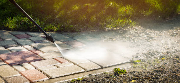 Best Driveway Pressure Washing  in Braidwood, IL